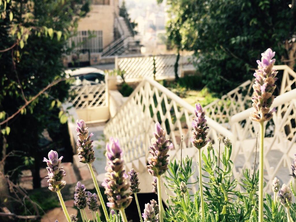 Lavender Boutique Hotel Ramallah Luaran gambar